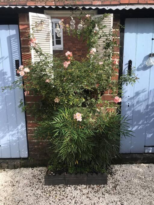Boutique Style * Bridgnorth